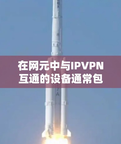 在网元中与IPVPN互通的设备通常包括以下几类
