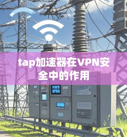 tap加速器在VPN安全中的作用