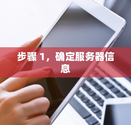 步骤 1，确定服务器信息