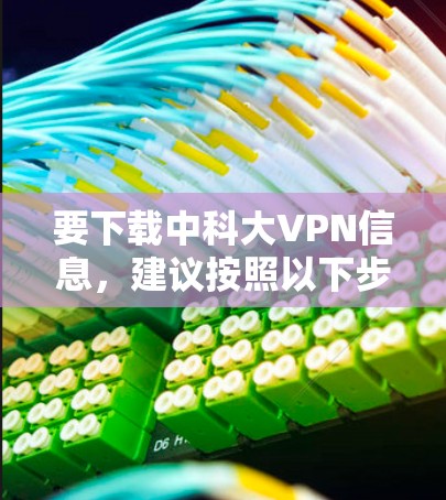 要下载中科大VPN信息，建议按照以下步骤操作