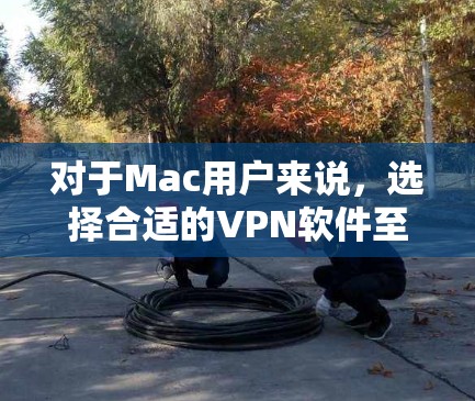 对于Mac用户来说，选择合适的VPN软件至关重要，尤其是考虑到它们的免费选项。以下是几种推荐的免费VPN软件