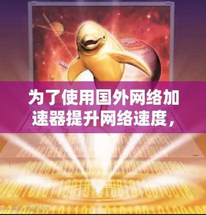 为了使用国外网络加速器提升网络速度，您可以按照以下步骤进行