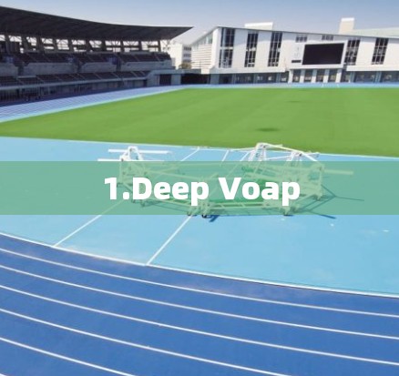 1.Deep Voap
