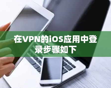 在VPN的iOS应用中登录步骤如下