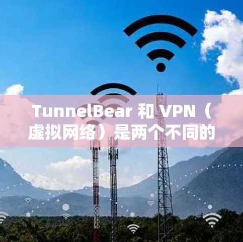 TunnelBear 和 VPN（虚拟网络）是两个不同的产品，但它们都旨在提供网络连接的安全性和效率。以下是对两者品牌的比较