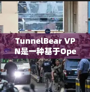 TunnelBear VPN是一种基于OpenVPN协议的VPN软件，适合需要安全性和扩展性需求的用户。以下是使用TunnelBear VPN的步骤指南