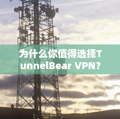 为什么你值得选择TunnelBear VPN？