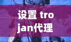 设置 trojan代理通常需要遵循以下步骤。以下指南适用于Windows和Mac系统