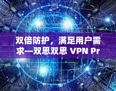 双倍防护，满足用户需求—双思双思 VPN Pro线路测试