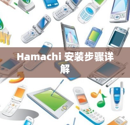 Hamachi 安装步骤详解 Hamachi 安装步骤详解