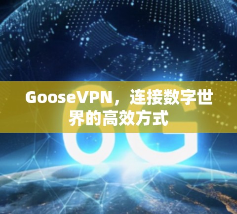 GooseVPN，连接数字世界的高效方式