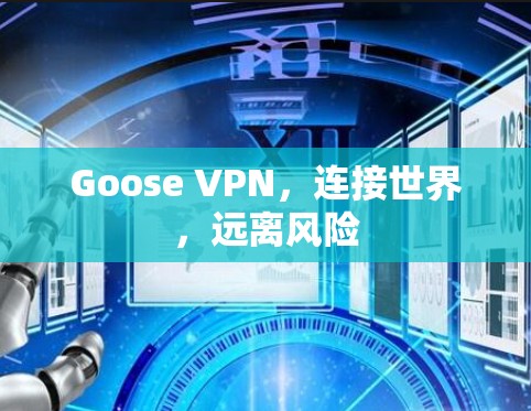 Goose VPN，连接世界，远离风险