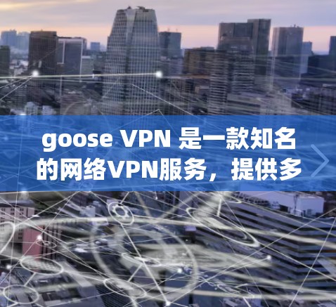 goose VPN 是一款知名的网络VPN服务，提供多种VPN类型和功能，帮助用户在线访问互联网资源。以下是对 goose VPN 的体验分享