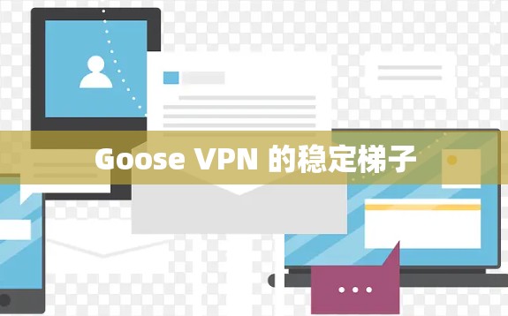Goose VPN 的稳定梯子
