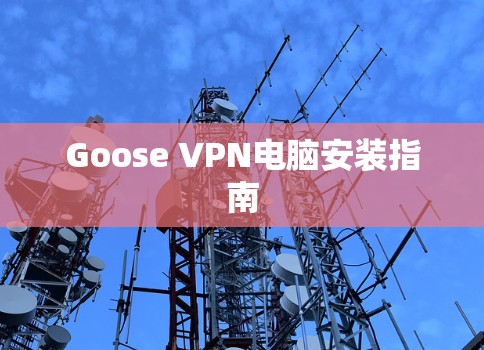 Goose VPN电脑安装指南