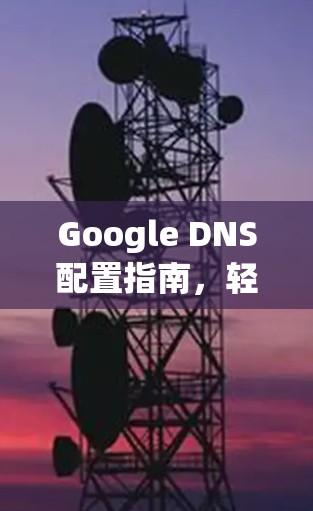 Google DNS配置指南，轻松管理网络地址