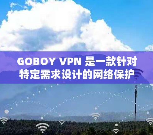 GOBOY VPN 是一款针对特定需求设计的网络保护软件，主要适用于需要高安全性和稳定性的用户。以下是关于GOBOY VPN 的详细网络体验分析
