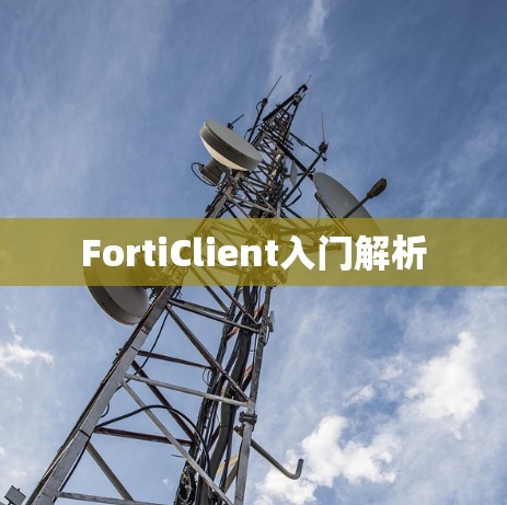 FortiClient入门解析