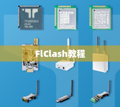 FlClash教程
