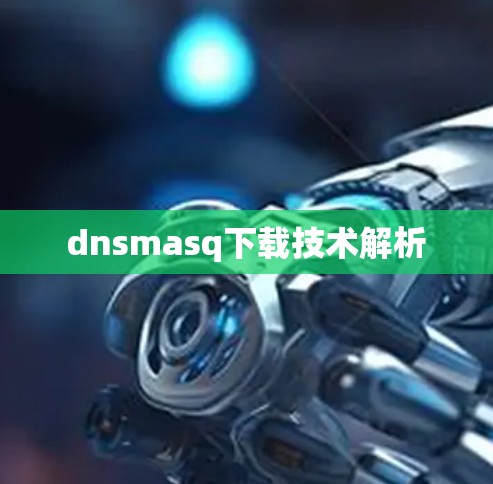 dnsmasq下载技术解析