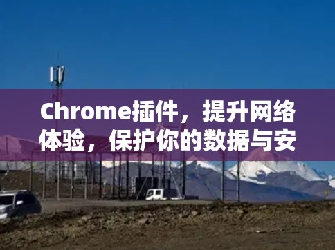 Chrome插件，提升网络体验，保护你的数据与安全