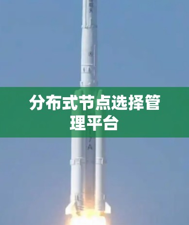 分布式节点选择管理平台