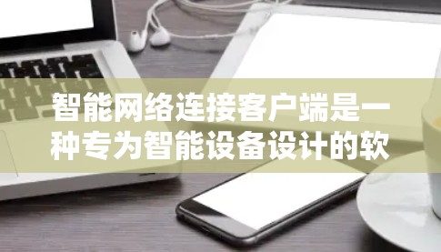 智能网络连接客户端是一种专为智能设备设计的软件，支持与网络设备的实时或远程通信，提供数据管理、设备控制和交互功能。以下是该领域的详细总结