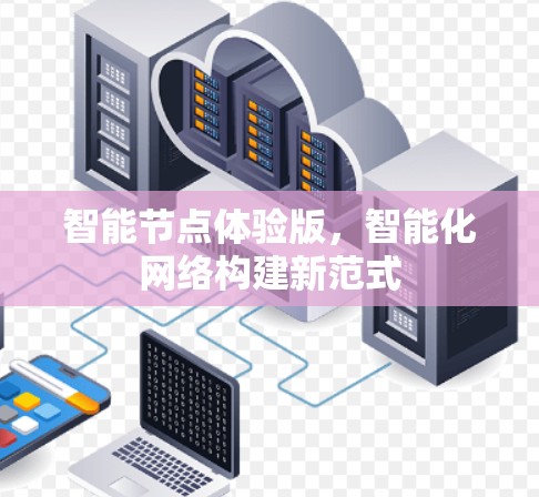 智能节点体验版，智能化网络构建新范式