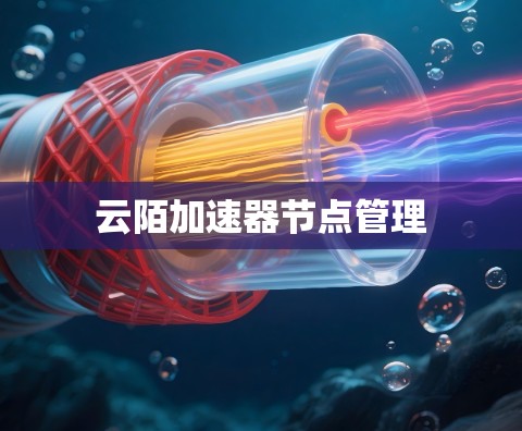 云陌加速器节点管理