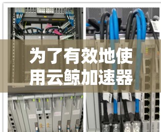 为了有效地使用云鲸加速器来加速您的下载，您可以按照以下步骤操作