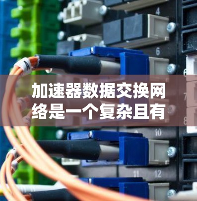 加速器数据交换网络是一个复杂且有挑战性的网络结构，主要由加速器节点和数据交换网络组成，旨在提升数据处理和传输效率。以下是对该网络的详细总结
